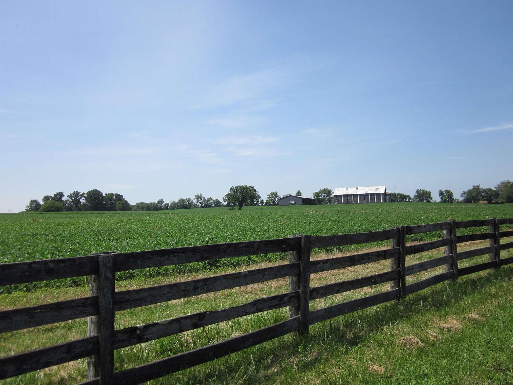 53.5 Acres of Land for Sale in Lexington, Kentucky