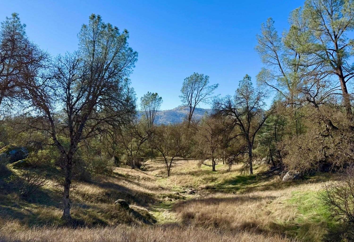 10 Acres of Land for Sale in Mariposa, California