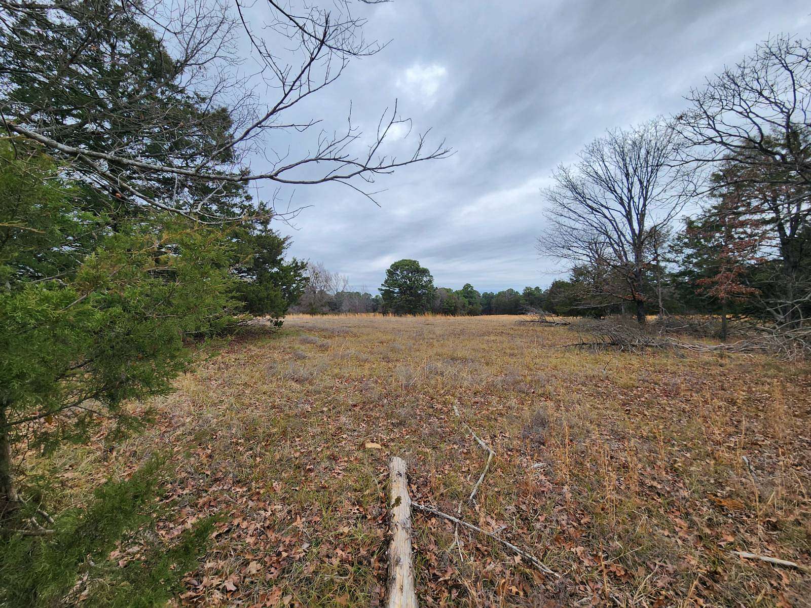 20 Acres of Recreational & Residential Land for Sale in Charleston, Arkansas