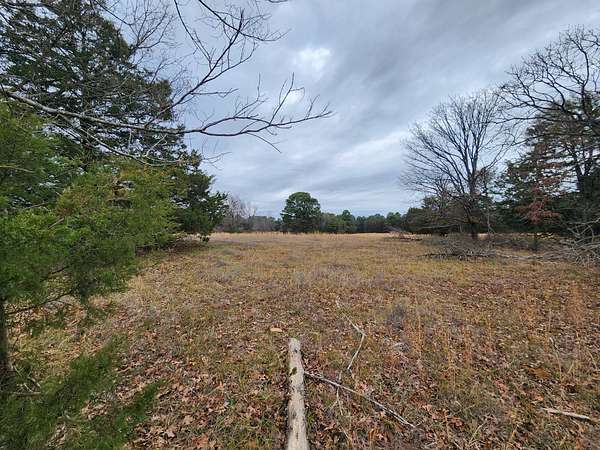 20 Acres of Recreational & Residential Land for Sale in Charleston, Arkansas