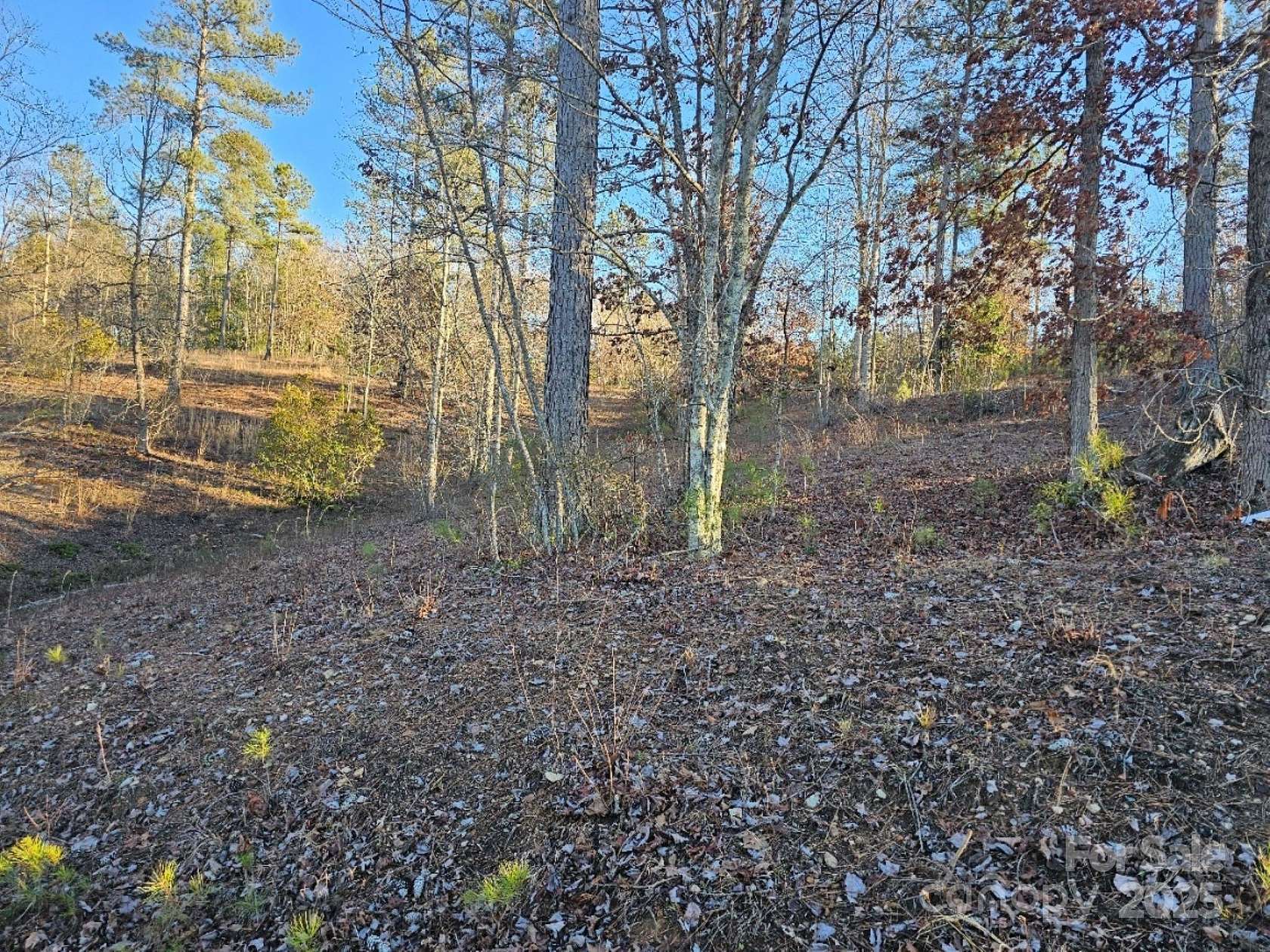 1.25 Acres of Residential Land for Sale in Connelly Springs, North Carolina