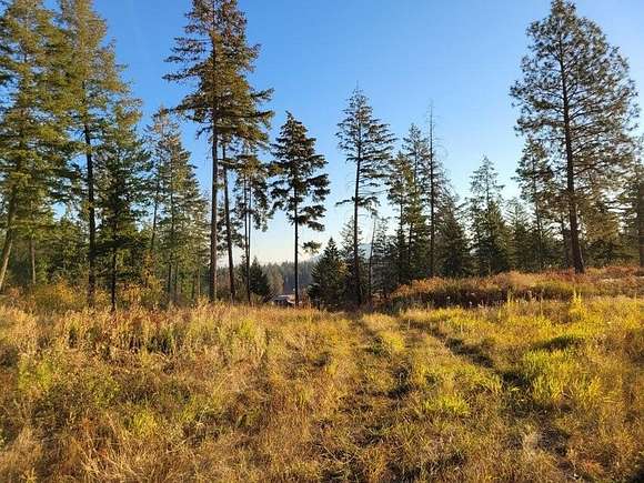 6.6 Acres of Land for Sale in Colville, Washington