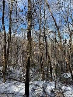 1.1 Acres of Residential Land for Sale in Jasper, Georgia