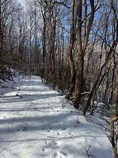 1.1 Acres of Residential Land for Sale in Jasper, Georgia