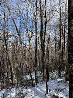 1.1 Acres of Residential Land for Sale in Jasper, Georgia