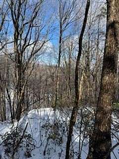 1 Acre of Residential Land for Sale in Jasper, Georgia