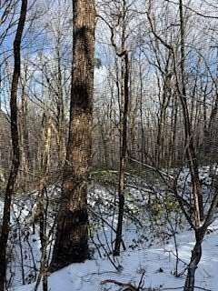 1 Acre of Residential Land for Sale in Jasper, Georgia