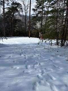 1 Acre of Residential Land for Sale in Jasper, Georgia