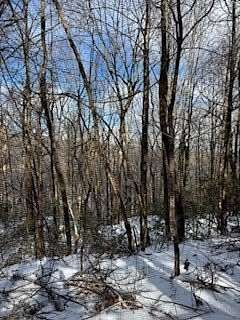 1 Acre of Residential Land for Sale in Jasper, Georgia