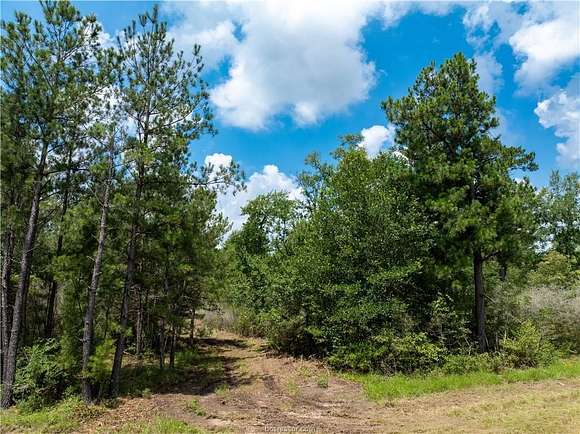 30 Acres of Recreational Land for Sale in Huntsville, Texas