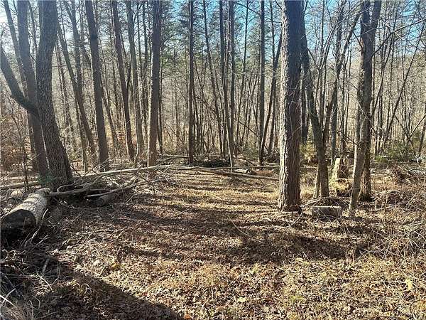 0.59 Acres of Land for Sale in Westminster, South Carolina