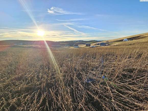 5.67 Acres of Residential Land for Sale in Pullman, Washington