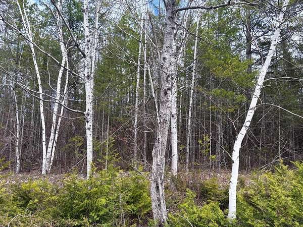 0.35 Acres of Land for Sale in Presque Isle, Michigan