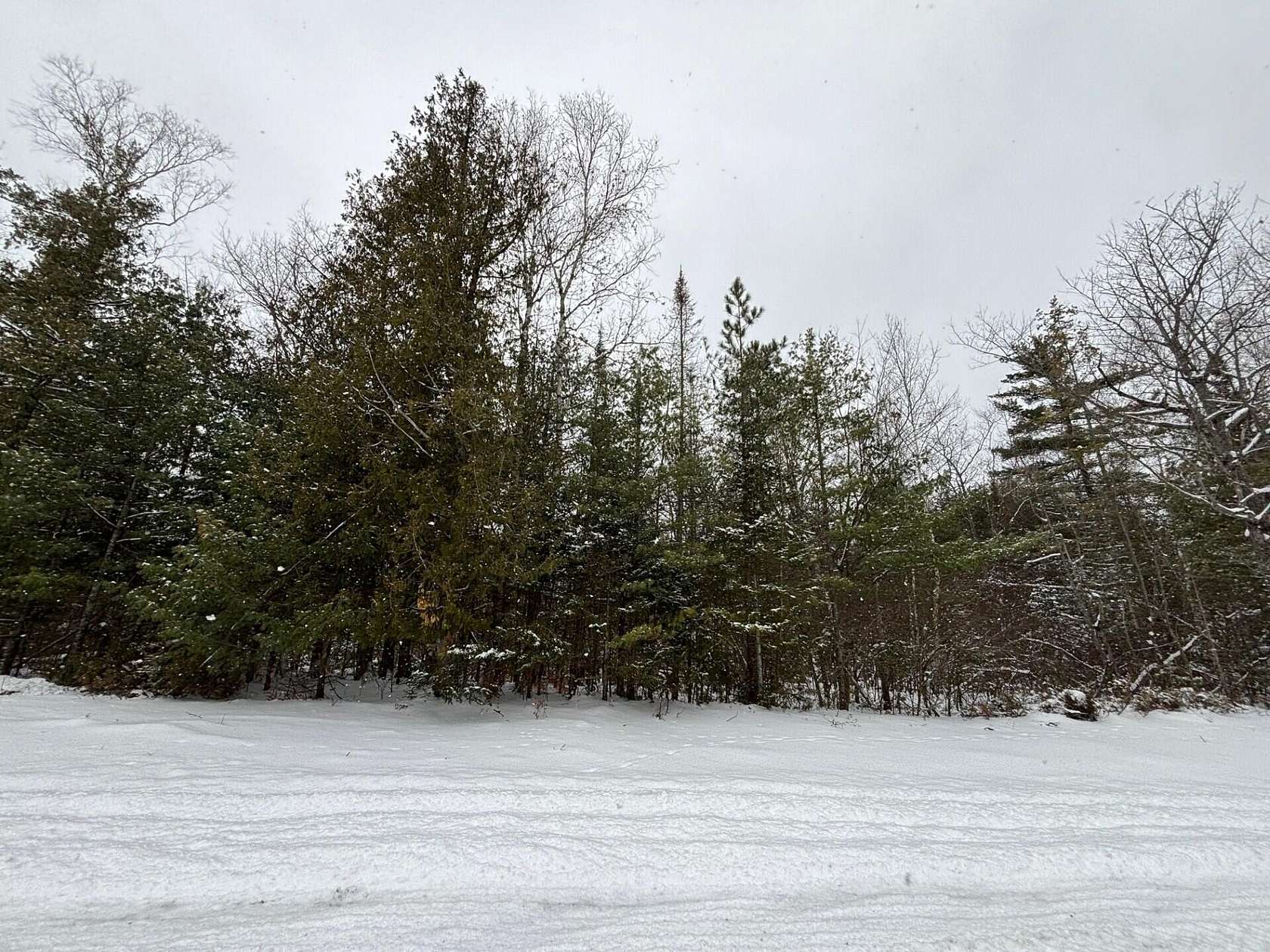 0.34 Acres of Land for Sale in Presque Isle, Michigan