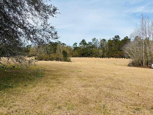 3.12 Acres of Residential Land for Sale in Carriere, Mississippi