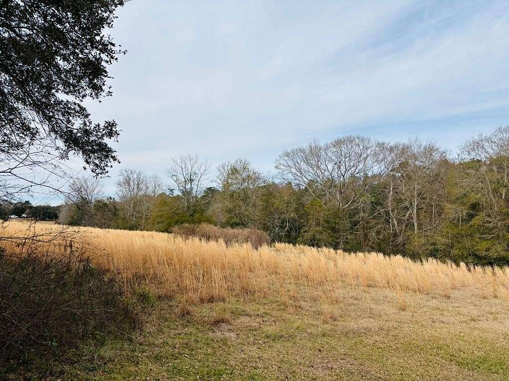 3.1 Acres of Residential Land for Sale in Carriere, Mississippi