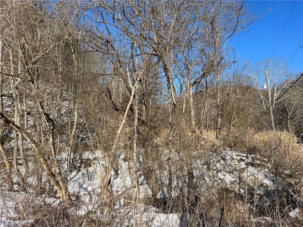 43.2 Acres of Land for Sale in Clendenin, West Virginia