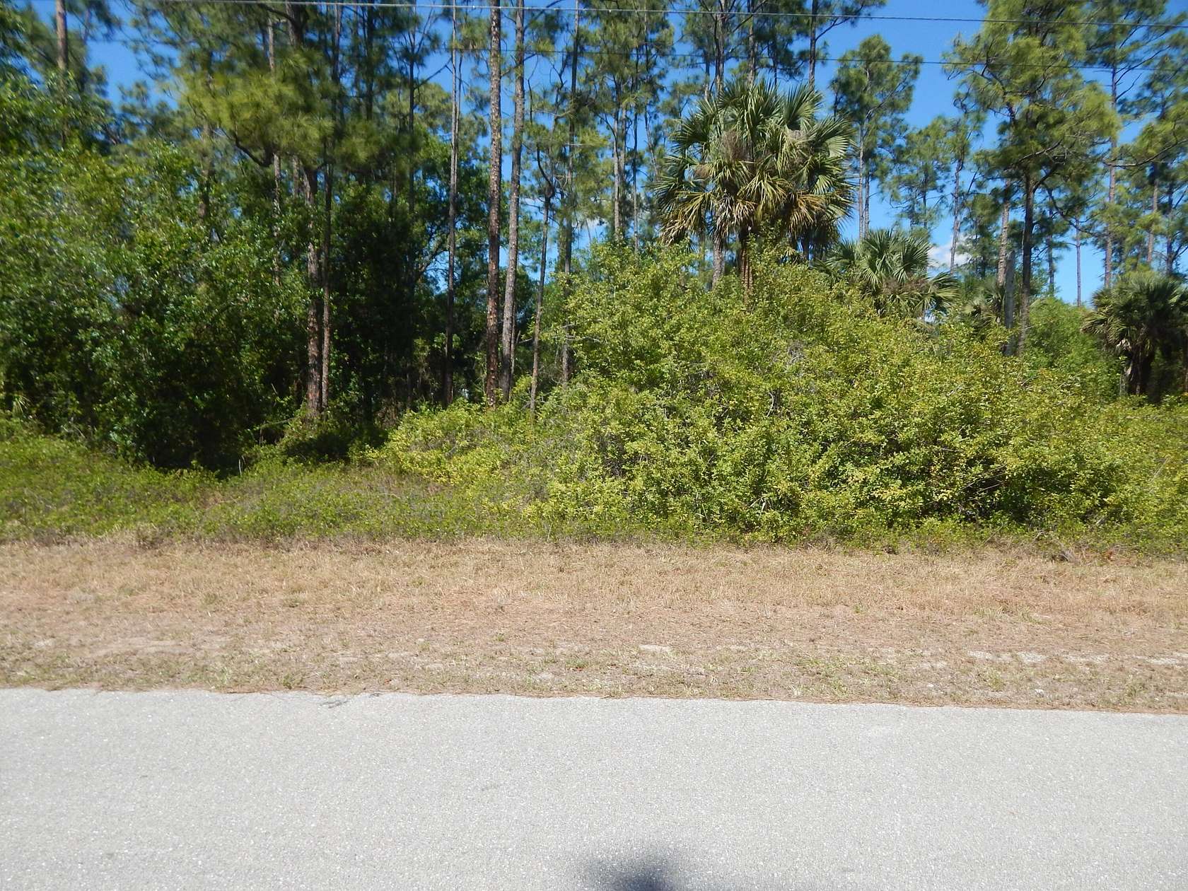 0.29 Acres of Residential Land for Sale in Lehigh Acres, Florida
