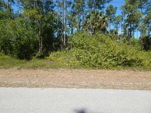 Residential Land for Sale in Lehigh Acres, Florida
