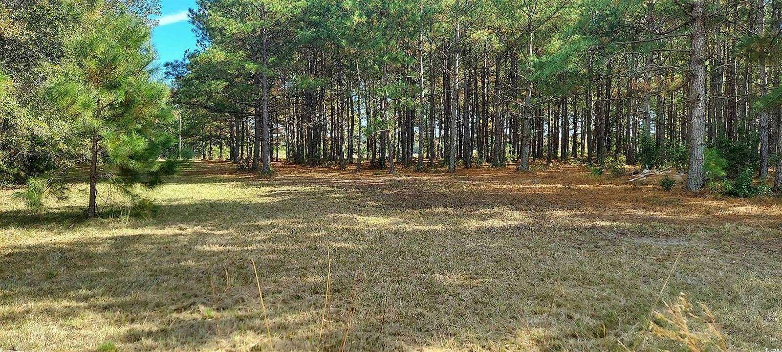 0.98 Acres of Land for Sale in Loris, South Carolina