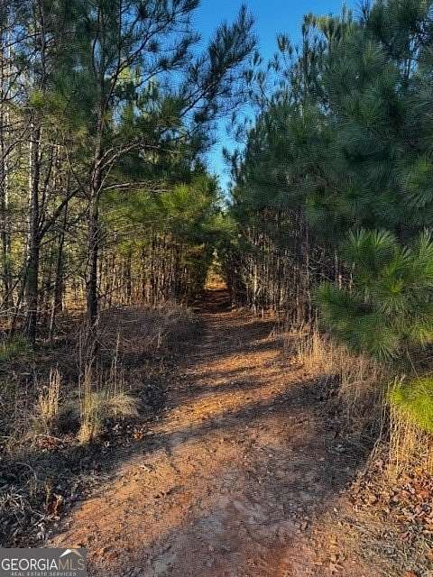 28.6 Acres of Recreational Land for Sale in Jackson, Georgia