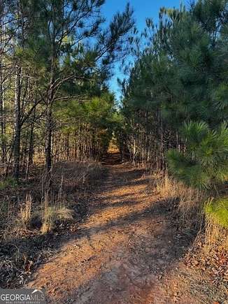 28.59 Acres of Recreational Land for Sale in Jackson, Georgia