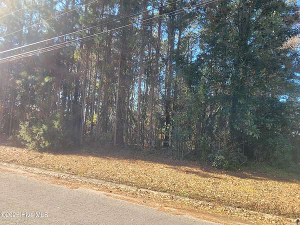 0.47 Acres of Residential Land for Sale in Kinston, North Carolina