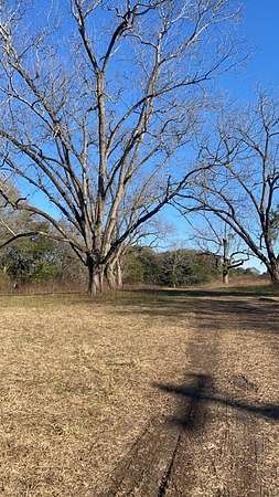 73 Acres of Agricultural Land for Sale in Clio, Alabama