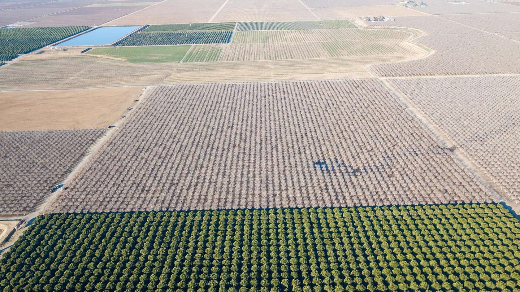 41.1 Acres of Land for Sale in Delano, California