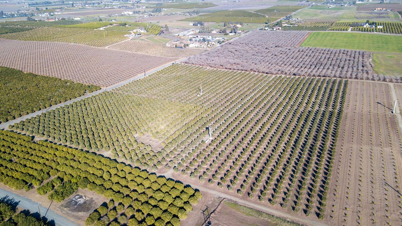 39.2 Acres of Agricultural Land for Sale in Terra Bella, California