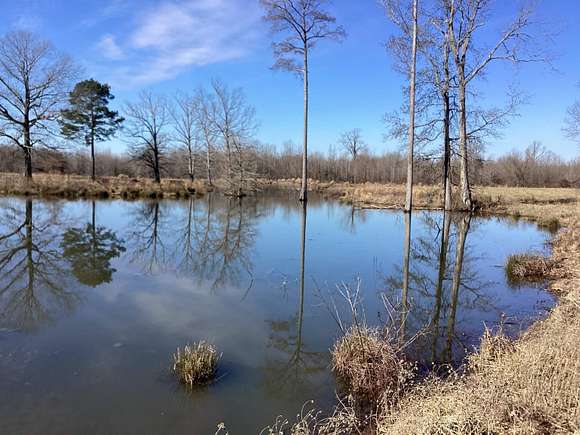 120 Acres of Recreational Land & Farm for Sale in Prescott, Arkansas