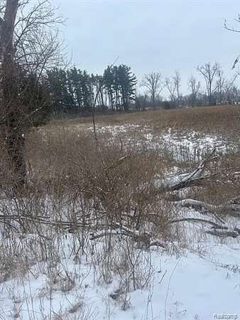 20.2 Acres of Land for Sale in Brighton Township, Michigan