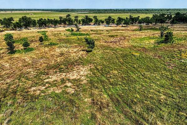 64.5 Acres of Recreational Land for Sale in Washington, Texas