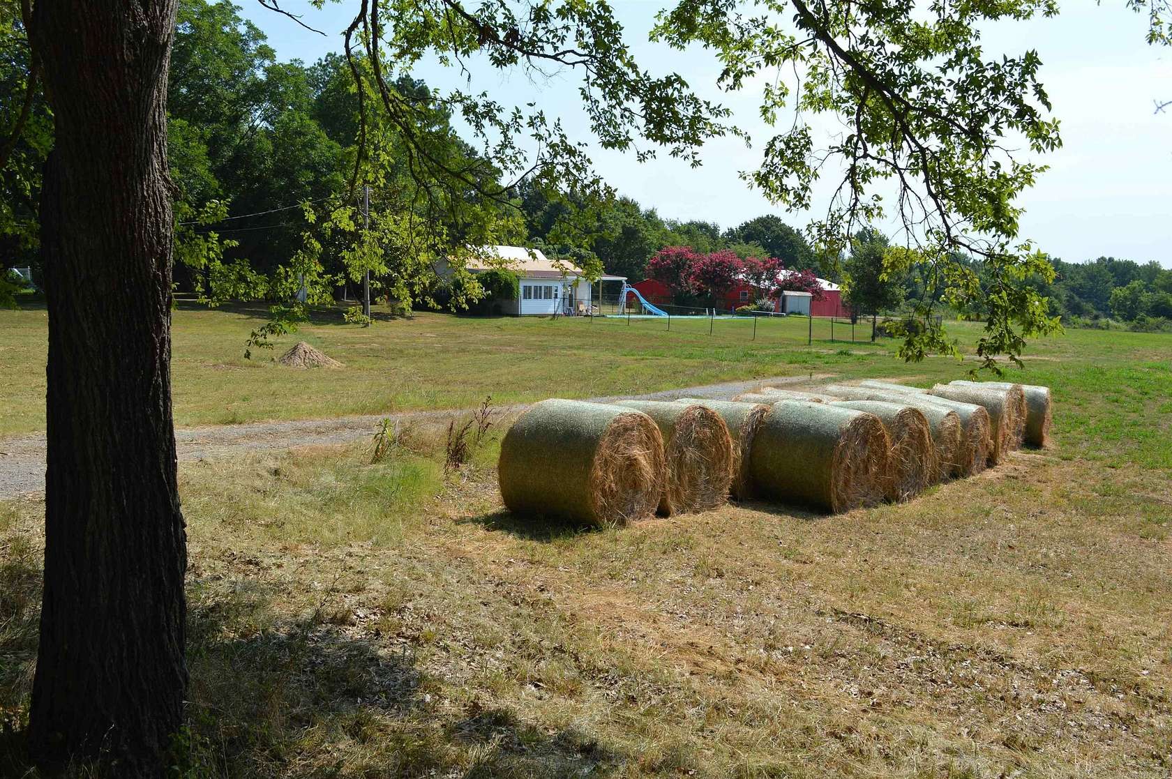 24.9 Acres of Recreational Land for Sale in Paragould, Arkansas