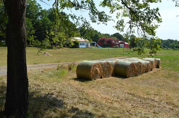 24.9 Acres of Recreational Land for Sale in Paragould, Arkansas