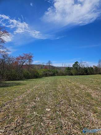 13.5 Acres of Land for Sale in Henagar, Alabama