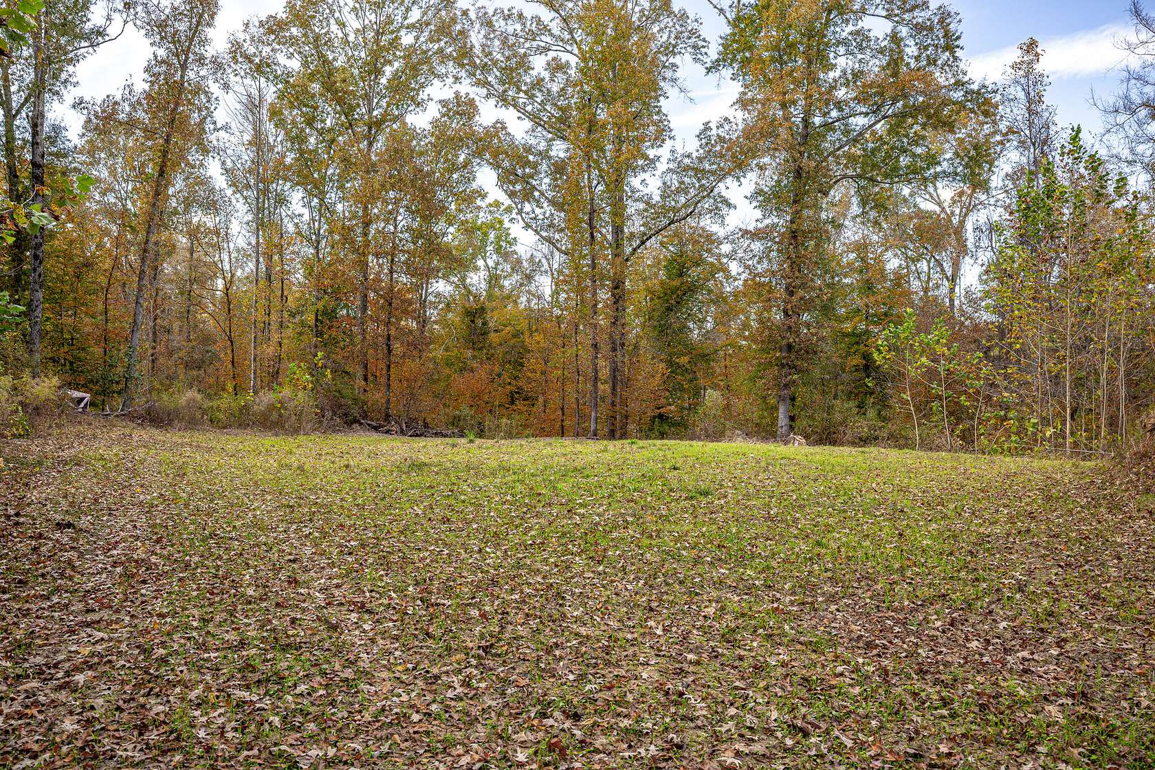 117 Acres of Recreational Land for Sale in Vicksburg, Mississippi