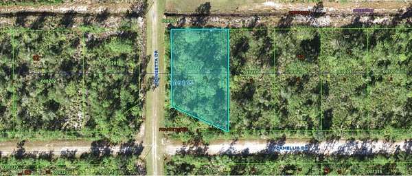 0.55 Acres of Land for Sale in Indian Lake Estates, Florida