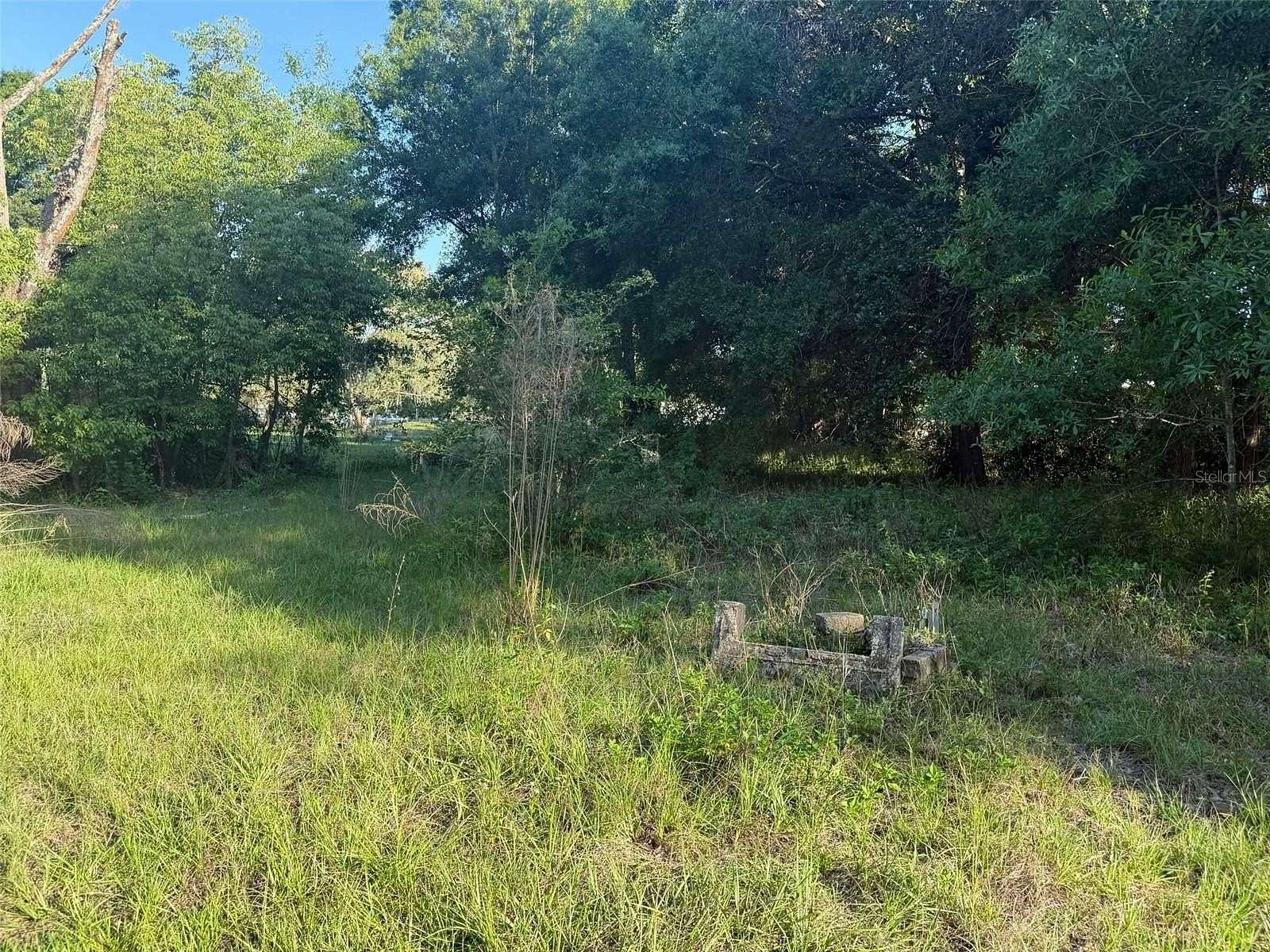 1 Acre of Residential Land for Sale in Wesley Chapel, Florida