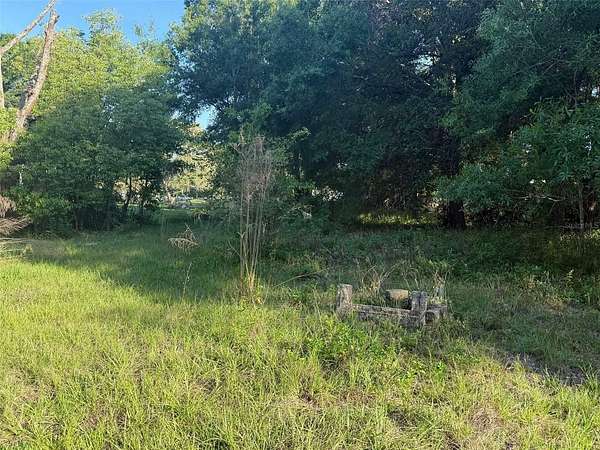 1 Acre of Residential Land for Sale in Wesley Chapel, Florida