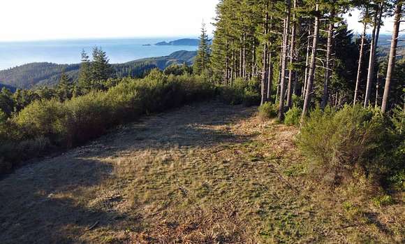 163.3 Acres of Recreational Land for Sale in Port Orford, Oregon