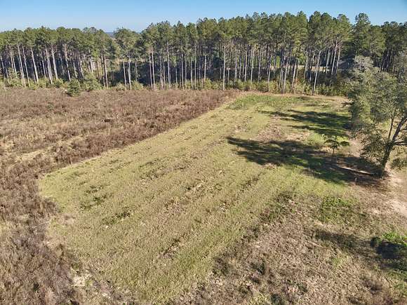 18.5 Acres of Land for Sale in Hartford, Alabama