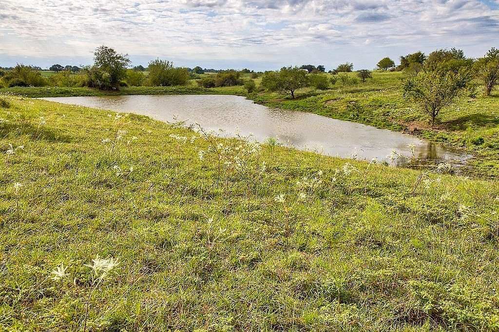 156 Acres of Agricultural Land for Sale in Weimar, Texas