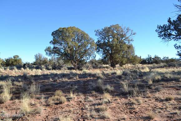 20.59 Acres of Land for Sale in Snowflake, Arizona