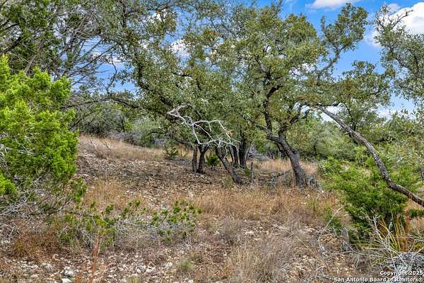 0.51 Acres of Residential Land for Sale in Canyon Lake, Texas