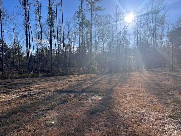 45.2 Acres of Land for Sale in Buckatunna, Mississippi