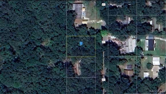 0.2 Acres of Land for Sale in Lake Panasoffkee, Florida