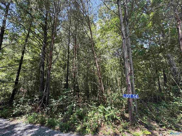 5.15 Acres of Land for Sale in Albertville, Alabama