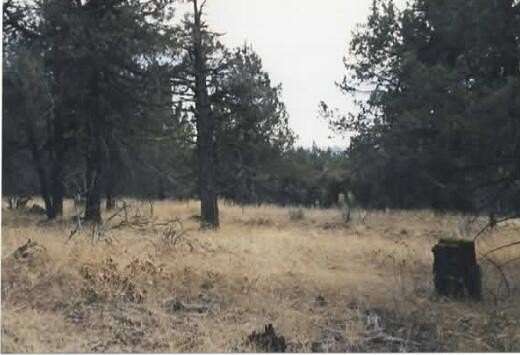 11.55 Acres of Land for Sale in Bonanza, Oregon