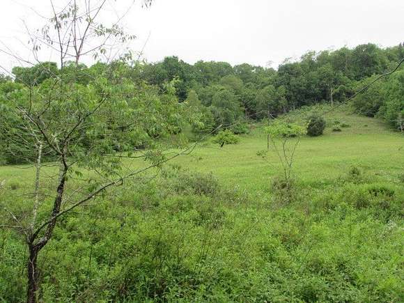 27.08 Acres of Recreational Land & Farm for Sale in Mouth of Wilson, Virginia